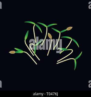 Microgreens Karotte. Bündel von Pflanzen. Vitamin Supplement, veganes Essen. Schwarzer Hintergrund Stock Vektor