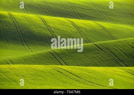 Mährischen Toskana - wunderschöne Frühlingslandschaft in Südmähren in der Nähe von Kyjov Stadt. Tschechische Republik - Europa. Stockfoto