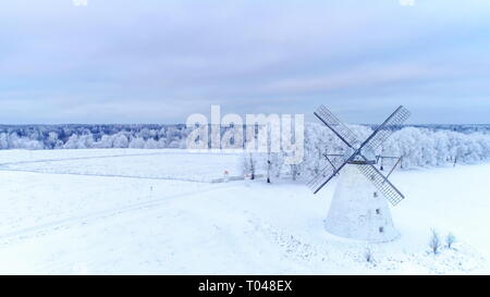 Die weißen Vihula Windmühle in der Mitte des Lahemaa mit der dicken weißen Schnee auf einem gefrorenen Winter in Estland Stockfoto