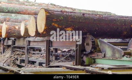 Big Protokolle außerhalb des Sägewerks factory Diese Protokolle verarbeitet werden ein Hölzern für die Produktion werden Stockfoto