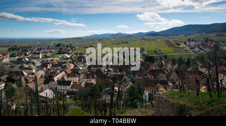 Um Ribeauvillé im Elsass in Frankreich im frühen Frühjahr Stockfoto