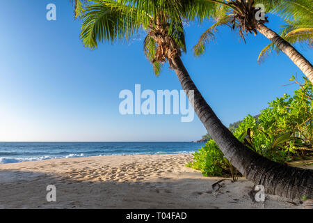 Exotischen Sandstrand bei Sonnenuntergang mit Coco Palms auf der tropischen Insel. Stockfoto