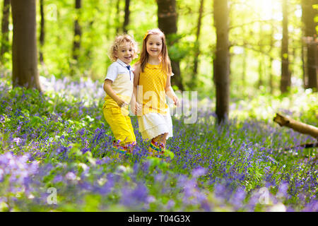 Kinder laufen in Bluebell Woods. Kinder spielen im Frühjahr park mit Wild Bluebell Blumen. Jungen und Mädchen im Garten arbeiten. Garten Pflanzen an einem sonnigen Tag. Freunde f Stockfoto