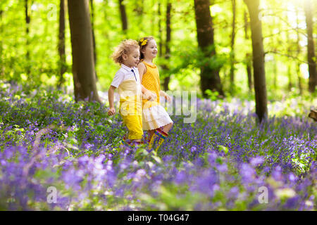 Kinder laufen in Bluebell Woods. Kinder spielen im Frühjahr park mit Wild Bluebell Blumen. Jungen und Mädchen im Garten arbeiten. Garten Pflanzen an einem sonnigen Tag. Freunde f Stockfoto