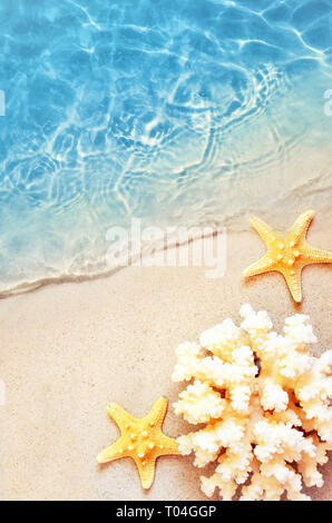 Seesterne und Korallen auf den Sommer Strand im Meerwasser. Sommer Hintergrund. Sommer. Stockfoto