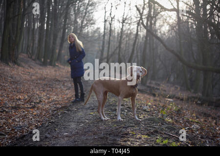 Junge Frau zu Hund im Wald Stockfoto