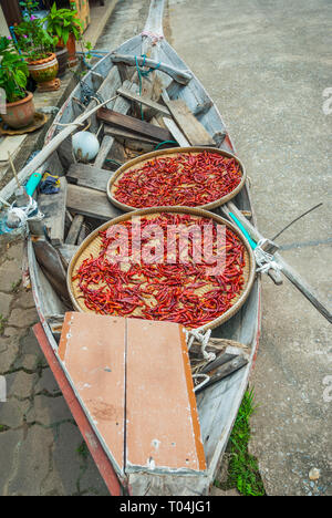 Hot red Thai chilis Trocknen außerhalb in einem Boot Stockfoto