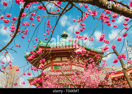 Frühling in Ueno Park. Blühende rosa Blüten vor benten Tempel im Zentrum von shinobazu Teich Stockfoto