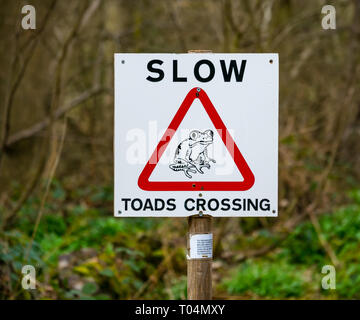 Ungewöhnliche schrulligen Schild Warnung der Kröten überqueren, Binning Holz, East Lothian, Schottland, Großbritannien Stockfoto