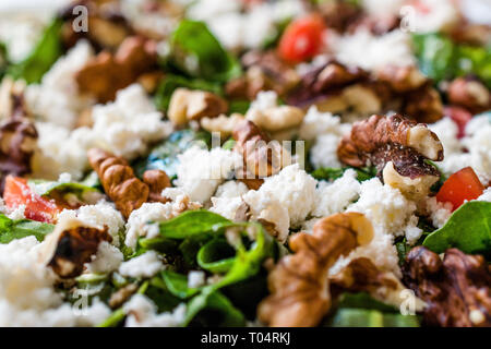 Quark Käse Salat mit Nussbaum, Rucola Rucola oder rauke Blätter/Cottage Salat. Ökologische Lebensmittel. Stockfoto