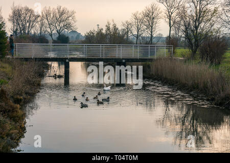 Mit Blick auf die Isola Sant'Erasmo Stockfoto