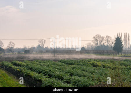 Mit Blick auf die Isola Sant'Erasmo Stockfoto