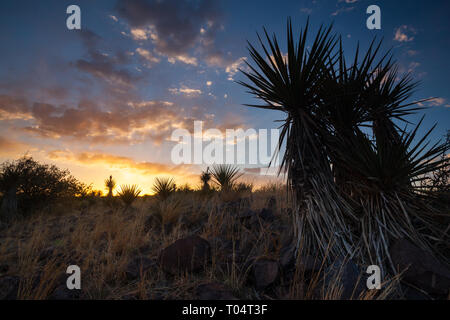 Alpine, Brewster County, Texas, USA Stockfoto