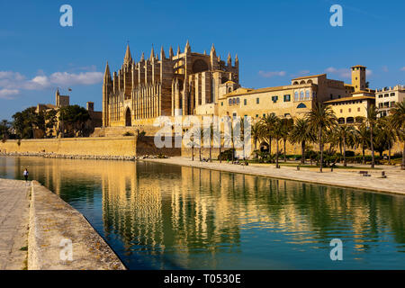 Kathedrale La Seu, Parc del Mar und den Königlichen Palast von la Almudaina, Palma de Mallorca. Mallorca, Balearen, Spanien Europa Stockfoto