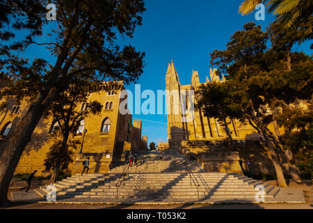 Die Kathedrale La Seu und der Königliche Palast von la Almudaina, Palma de Mallorca. Mallorca, Balearen, Spanien Europa Stockfoto