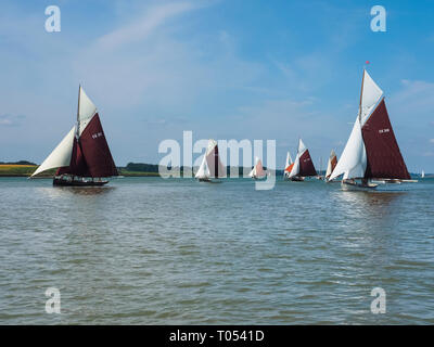 Vintage Gaff Fräser Racing auf dem River Orwell. Stockfoto