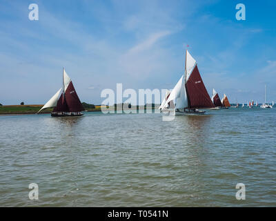 Vintage Gaff Fräser Racing auf dem River Orwell. Stockfoto