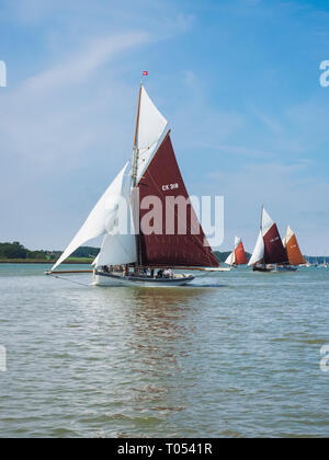 Vintage Gaff Fräser Racing auf dem River Orwell. Stockfoto