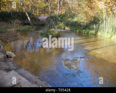 Wasser, das in einem klaren Bach im Wald im Herbst Stockfoto