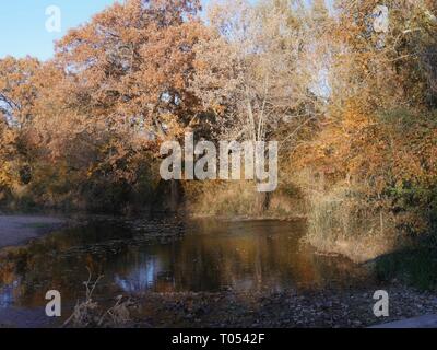 Herbst Farben der Bäume in den Gewässern von einem Bach im Wald nieder Stockfoto