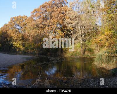 Bach im Wald mit den Farben des Herbstes in den Bäumen Stockfoto