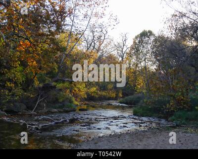 Malerische Aussicht in den Wald mit einem fließenden Bach durch die Farben des Herbstes umgeben Stockfoto