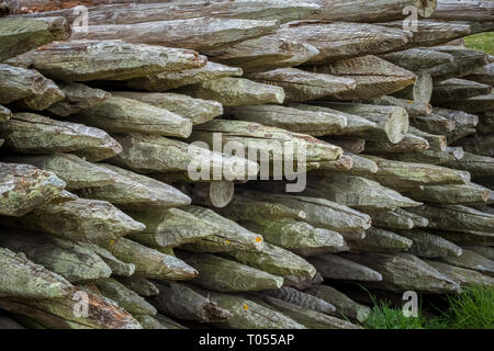 Ein Haufen von rauen und rustikalen Zaunpfosten übereinander gestapelt und liegen auf dem Gras, St Cyrus, Aberdeenshire Stockfoto