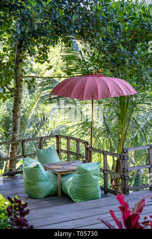 Erholungsgebiet und grüne Blätter Palmen in der Nähe von reisterrassen an einem sonnigen Tag in Insel Bali, Indonesien. Natur und Travel Concept Stockfoto