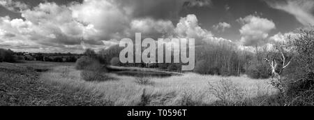 Schwarze und weiße Panorama Blick auf die reale Landschaft in Cheshire, Elworth in der Nähe von Sandbach GROSSBRITANNIEN Stockfoto