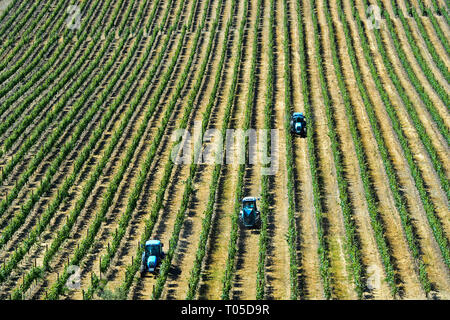 Mechanisierte Feldforschungen auf einer Plantage mit vertikalen Rebzeilen über die anbautechnik Vinha ao Alto, Sao Joao de Pesqueira, Douro, Portugal Stockfoto