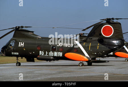 Japanisches Heer JGSDF Kawasaki KV-107 Stockfoto