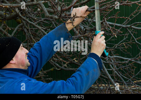 Mann in Arbeitskleidung im Garten arbeiten Stockfoto