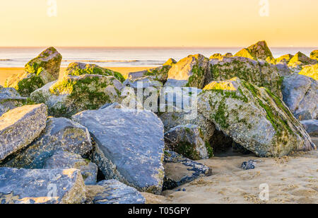 Große Reihe von Felsen in Seetang bedeckt am Strand bei Sonnenuntergang, schöne bunte Himmel Stockfoto