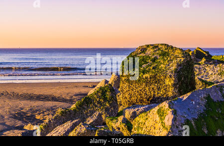 Stapel der Felsen im Meer Unkraut bedeckt, das blaue Meer mit Wellen und bunte Himmel bei Sonnenuntergang. Der Strand von Blankenberge, Belgien. Stockfoto