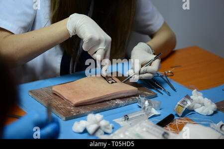 Medizinische Schule Schüler üben Chirurgie auf Schweinefleisch Stockfoto