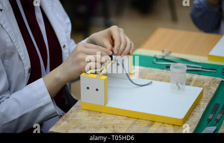 Medizinische Schule Schüler üben Chirurgie Stiche Knoten Stockfoto