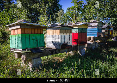 Holz- Bienenstöcke im Garten in der Kaschubei Region Polens Stockfoto