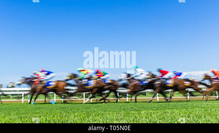 Pferderennen Tiere Jockeys in einer Geschwindigkeit, die Bewegungsunschärfe Aktion Foto. Stockfoto
