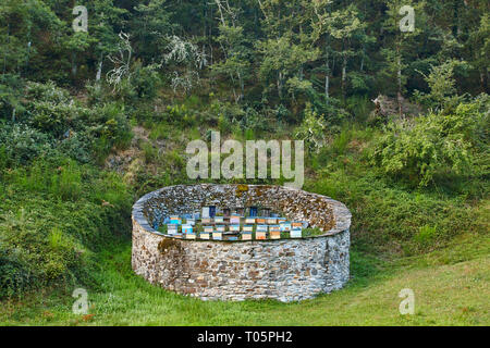 Bienenstöcke. Traditionelle Steinmauer Struktur gegen die Bären. Muniellos, Asturien in Spanien Stockfoto