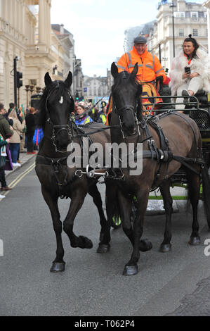 London, Großbritannien. 17 Mär, 2019. Pferde ziehen eine Falle auf Day Parade des jährlichen St. Patrick in Central London, England, Vereinigtes Königreich. Feste werden jedes Jahr veranstaltet der Heilige von Irland, St. Patrick zu gedenken, sondern für viele Menschen jetzt die christliche Botschaft durch eine gute Ausrede für ein Straßenfest ersetzt wurde, wusch sich mit mehreren Pints Guinness. St Patrick war von romano-british Abstammung und wurde als Sklave nach Irland im 5.Jahrhundert, wo er eine religiöse Bekehrung erlebt. Er gründete die Erzbischöfliche siehe von Armagh in ca. 454 AD. Der 17. März ist die angebliche Dat Stockfoto