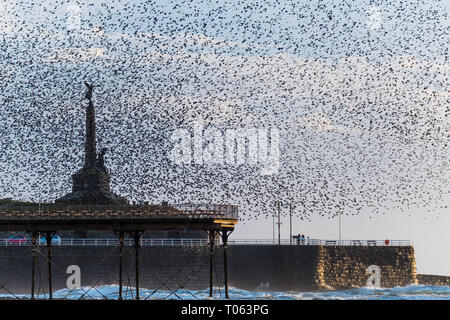 Aberystwyth, Großbritannien. 17 Mär, 2019. Zehntausende von Staren führen Sie ihre nächtlichen Balletthaften murmurations in den Himmel um markante von Aberystwyth kriegerdenkmal als der Tag zu Ende. Die Zugvögel an das Ende ihrer Winteraufenthalts kommen und wird bald fliegen sie zu ihren Brutplätzen in Skandinavien für den Sommer zurückzukehren. Aberystwythis Eine der wenigen städtischen Quartieren im Land und zieht Menschen aus der ganzen UK, Zeuge der spektakulären nächtlichen zeigt zwischen Oktober und März. Credit: Keith Morris/Alamy leben Nachrichten Stockfoto