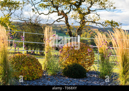 Herbst Farbe in herrlichen privaten Garten - elegantes, modernes Design, Garten- und Landschaftsbau, Pflanzen & Schiefer Chips auf Grenze (ländlichen Yorkshire, England, UK) Stockfoto
