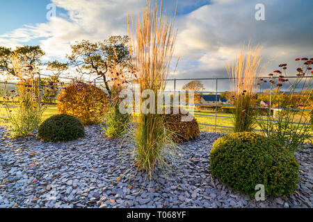 Herbst Farbe in herrlichen privaten Garten - elegantes, modernes Design, Garten- und Landschaftsbau, Pflanzen & Schiefer Chips auf Grenze (ländlichen Yorkshire, England, UK) Stockfoto