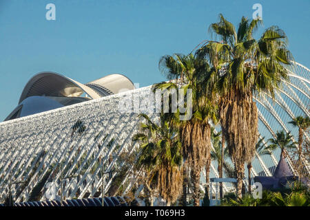 The Umbracle, Palme von Valencia Valencia Stadt der Künste und Wissenschaften, Architektur in Spanien Stockfoto