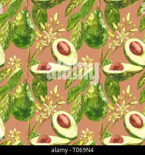 Avocado aquarell Hand zeichnen Abbildung auf weißem Hintergrund. Nahtlose Muster von Hand gezeichnet Avocado. Stockfoto