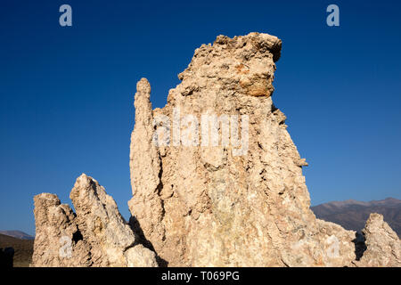 Nahaufnahme eines Tuffstein Turm in der South Tufa Area, Mono Lake, Mono County, Kalifornien, USA Stockfoto