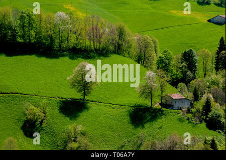 Bauernhaus inmitten der Natur Stockfoto