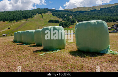 Heuballen in grün Kunststoff verpackt Stockfoto