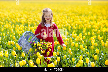 Kind in gelbe Tulpe Blume Bereich. Blühender Garten in Holland, Niederlande. Kleines Mädchen in Tulpen Farm. Kind mit Korb Kommissionierung frische Blumen auf Sunn Stockfoto