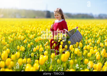 Kind in gelbe Tulpe Blume Bereich. Blühender Garten in Holland, Niederlande. Kleines Mädchen in Tulpen Farm. Kind mit Korb Kommissionierung frische Blumen auf Sunn Stockfoto